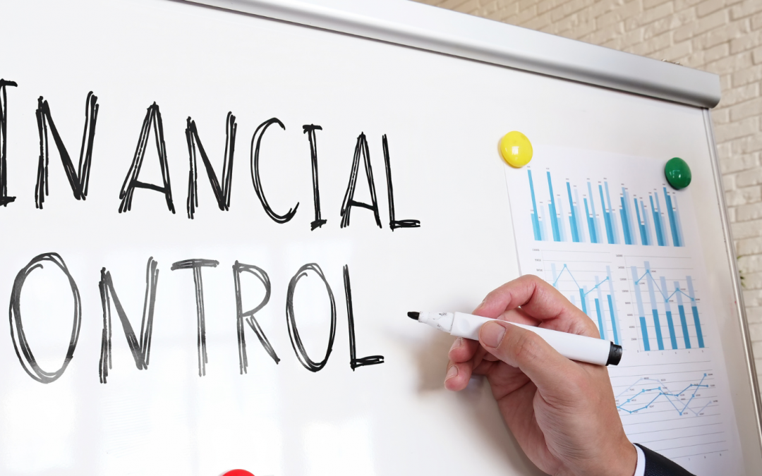 ¿Cómo contribuye el control financiero en la toma de decisiones de una empresa?