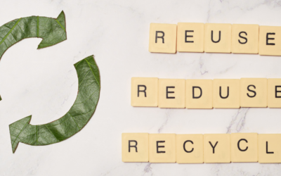 Por qué la economía circular mejora la rentabilidad de las empresas