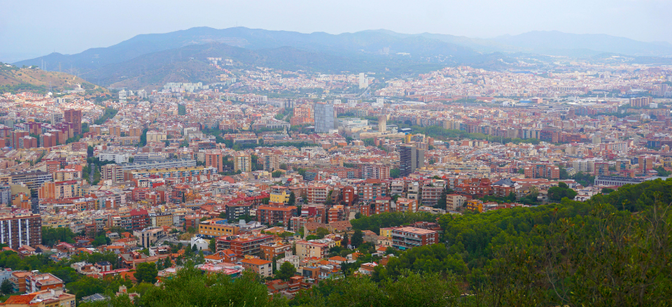 municipio